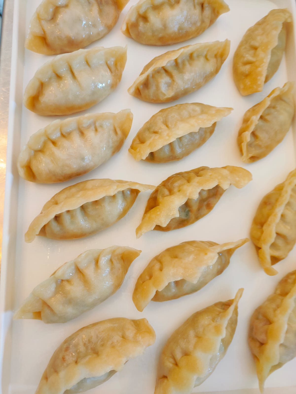 Gyoza